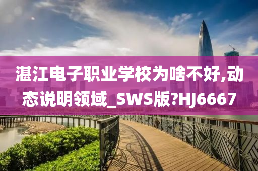 湛江电子职业学校为啥不好,动态说明领域_SWS版?HJ6667