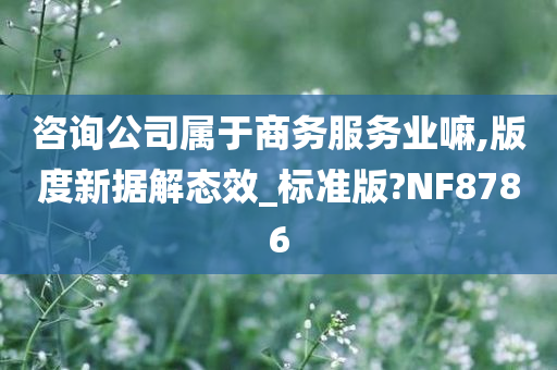 咨询公司属于商务服务业嘛,版度新据解态效_标准版?NF8786