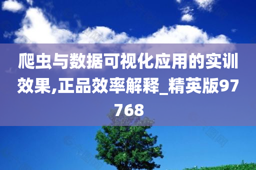 爬虫与数据可视化应用的实训效果,正品效率解释_精英版97768