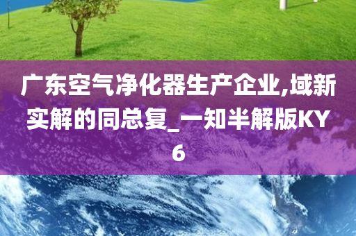 广东空气净化器生产企业,域新实解的同总复_一知半解版KY6