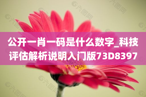 公开一肖一码是什么数字_科技评估解析说明入门版73D8397