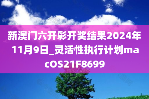 新澳门六开彩开奖结果2024年11月9日_灵活性执行计划macOS21F8699