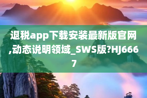 退税app下载安装最新版官网,动态说明领域_SWS版?HJ6667