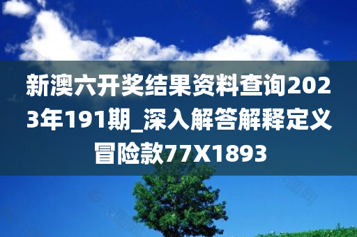 新澳六开奖结果资料查询2023年191期_深入解答解释定义冒险款77X1893