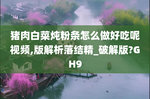 猪肉白菜炖粉条怎么做好吃呢视频,版解析落结精_破解版?GH9