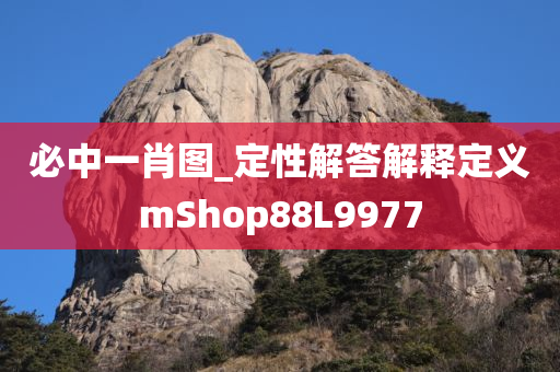 必中一肖图_定性解答解释定义mShop88L9977