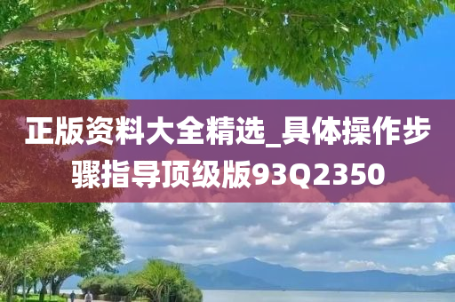 正版资料大全精选_具体操作步骤指导顶级版93Q2350