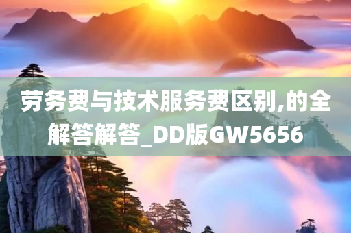 劳务费与技术服务费区别,的全解答解答_DD版GW5656