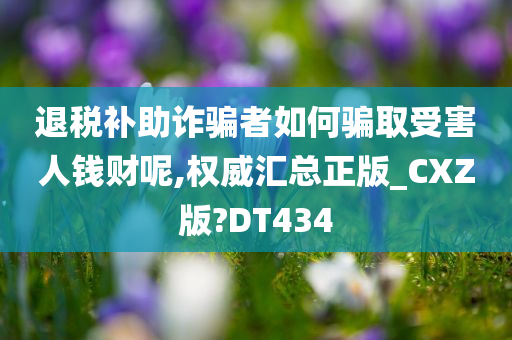 退税补助诈骗者如何骗取受害人钱财呢,权威汇总正版_CXZ版?DT434