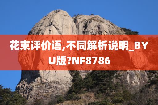 花束评价语,不同解析说明_BYU版?NF8786