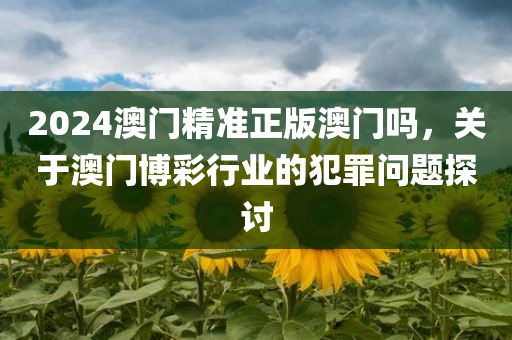 2024澳门精准正版澳门吗，关于澳门博彩行业的犯罪问题探讨