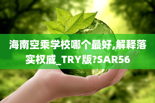 海南空乘学校哪个最好,解释落实权威_TRY版?SAR56