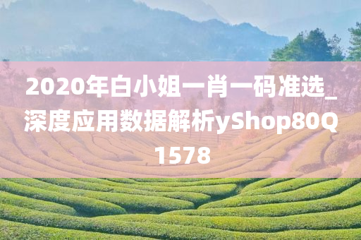 2020年白小姐一肖一码准选_深度应用数据解析yShop80Q1578