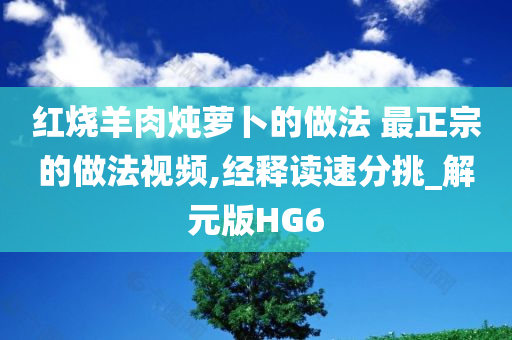 红烧羊肉炖萝卜的做法 最正宗的做法视频,经释读速分挑_解元版HG6