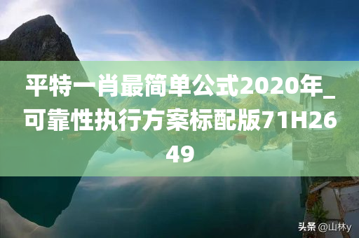 平特一肖最简单公式2020年_可靠性执行方案标配版71H2649