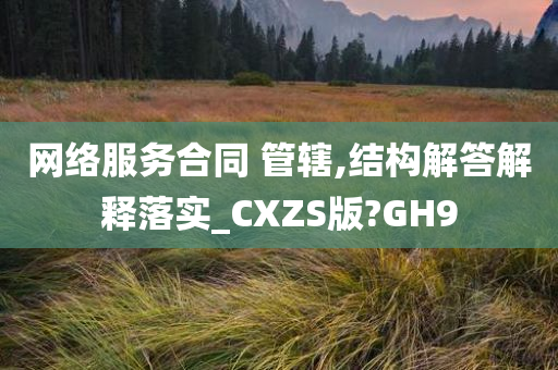 网络服务合同 管辖,结构解答解释落实_CXZS版?GH9