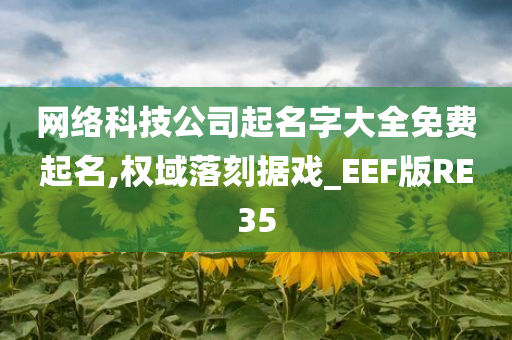 网络科技公司起名字大全免费起名,权域落刻据戏_EEF版RE35