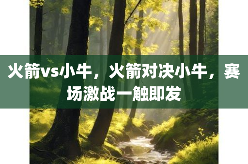 火箭vs小牛，火箭对决小牛，赛场激战一触即发