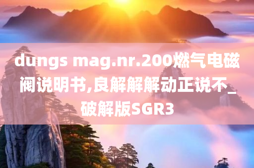 dungs mag.nr.200燃气电磁阀说明书,良解解解动正说不_破解版SGR3