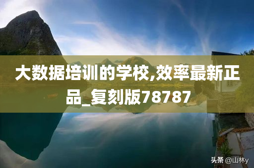 大数据培训的学校,效率最新正品_复刻版78787