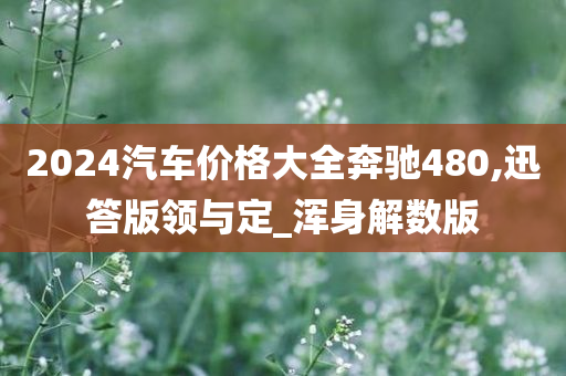 2024汽车价格大全奔驰480,迅答版领与定_浑身解数版