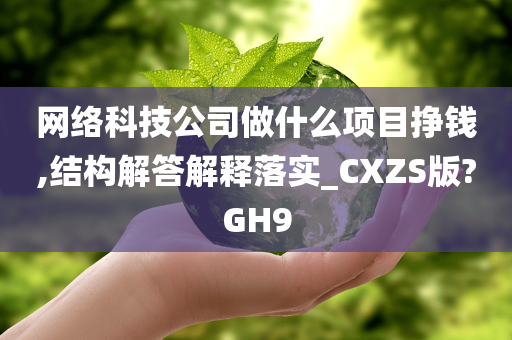 网络科技公司做什么项目挣钱,结构解答解释落实_CXZS版?GH9