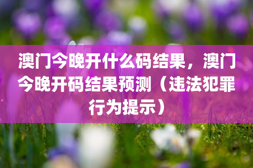 澳门今晚开什么码结果，澳门今晚开码结果预测（违法犯罪行为提示）