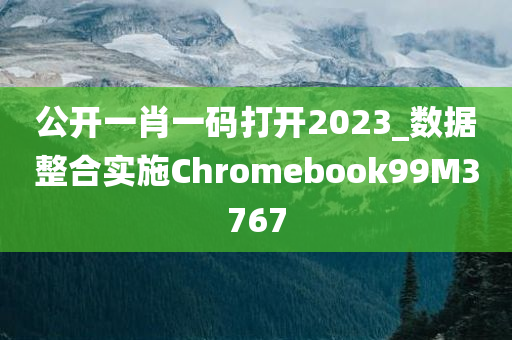 公开一肖一码打开2023_数据整合实施Chromebook99M3767