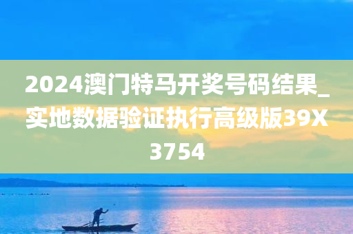 2024澳门特马开奖号码结果_实地数据验证执行高级版39X3754