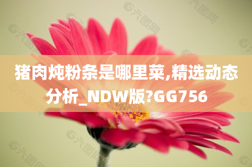 猪肉炖粉条是哪里菜,精选动态分析_NDW版?GG756