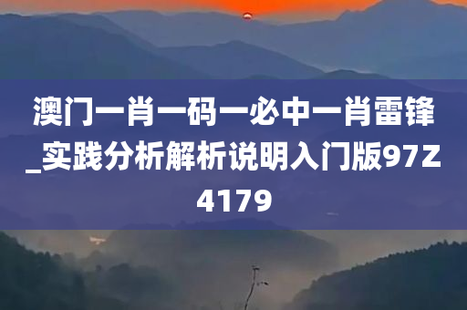 澳门一肖一码一必中一肖雷锋_实践分析解析说明入门版97Z4179