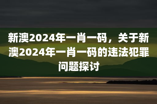 新澳2024年一肖一码，关于新澳2024年一肖一码的违法犯罪问题探讨