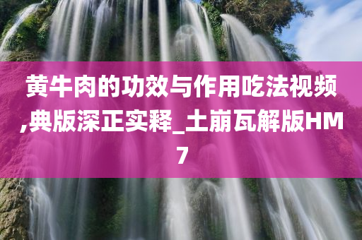 黄牛肉的功效与作用吃法视频,典版深正实释_土崩瓦解版HM7