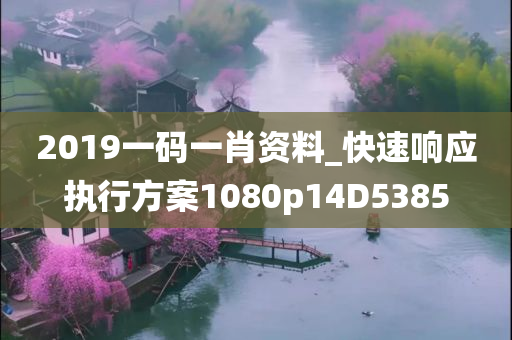 2019一码一肖资料_快速响应执行方案1080p14D5385