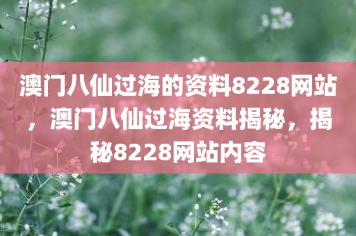 澳门八仙过海的资料8228网站