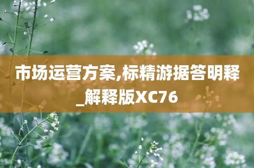 市场运营方案,标精游据答明释_解释版XC76