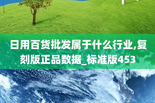 日用百货批发属于什么行业,复刻版正品数据_标准版453