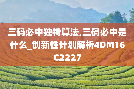 三码必中独特算法,三码必中是什么_创新性计划解析4DM16C2227