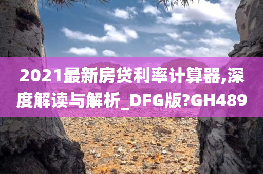 2021最新房贷利率计算器,深度解读与解析_DFG版?GH489