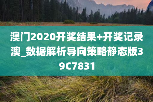 澳门2020开奖结果+开奖记录澳_数据解析导向策略静态版39C7831