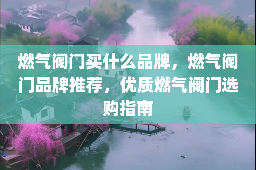 燃气阀门买什么品牌，燃气阀门品牌推荐，优质燃气阀门选购指南