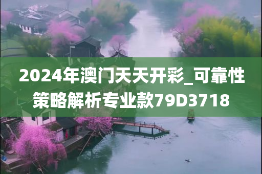 2024年澳门天天开彩_可靠性策略解析专业款79D3718