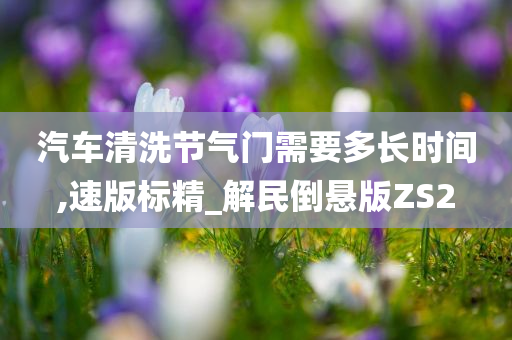 汽车清洗节气门需要多长时间,速版标精_解民倒悬版ZS2