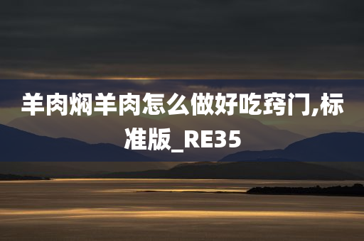 羊肉焖羊肉怎么做好吃窍门,标准版_RE35