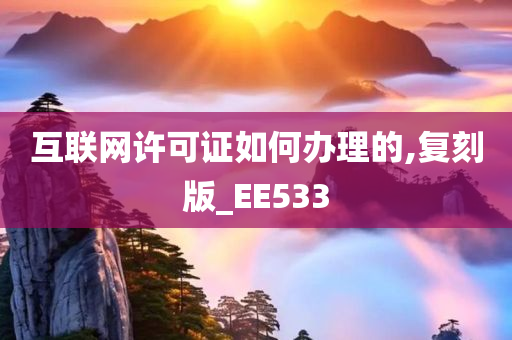 互联网许可证如何办理的,复刻版_EE533