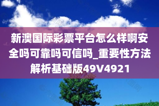 新澳国际彩票平台怎么样啊安全吗可靠吗可信吗_重要性方法解析基础版49V4921