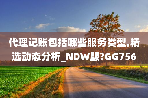 代理记账包括哪些服务类型,精选动态分析_NDW版?GG756