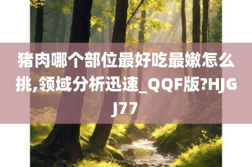 猪肉哪个部位最好吃最嫩怎么挑,领域分析迅速_QQF版?HJGJ77