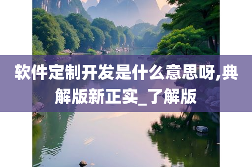 软件定制开发是什么意思呀,典解版新正实_了解版