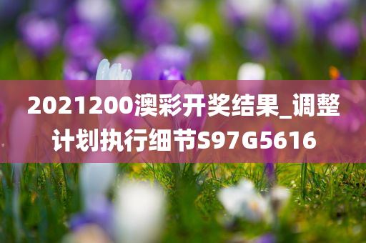 2021200澳彩开奖结果_调整计划执行细节S97G5616